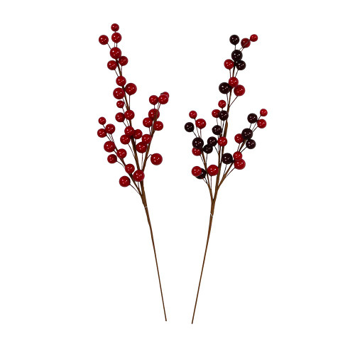 Red and Burgundy Mixed Berry Pick