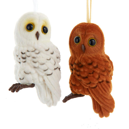Flocked Owl With Loop Ornaments, 2 Assorted