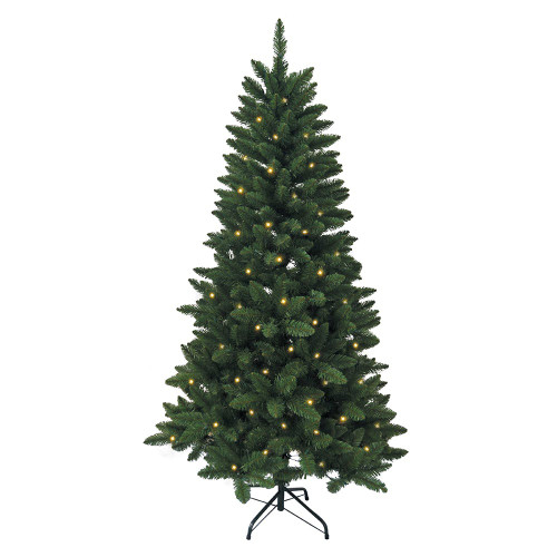 6' Pre-Lit Warm White LED Point Pine Tree