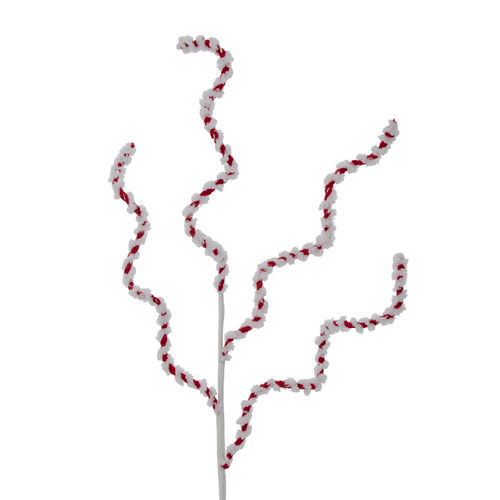 Curly Red & White Striped Spray
