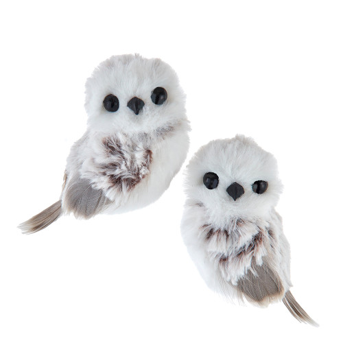Light Brown Owl Ornaments, 2 Assorted