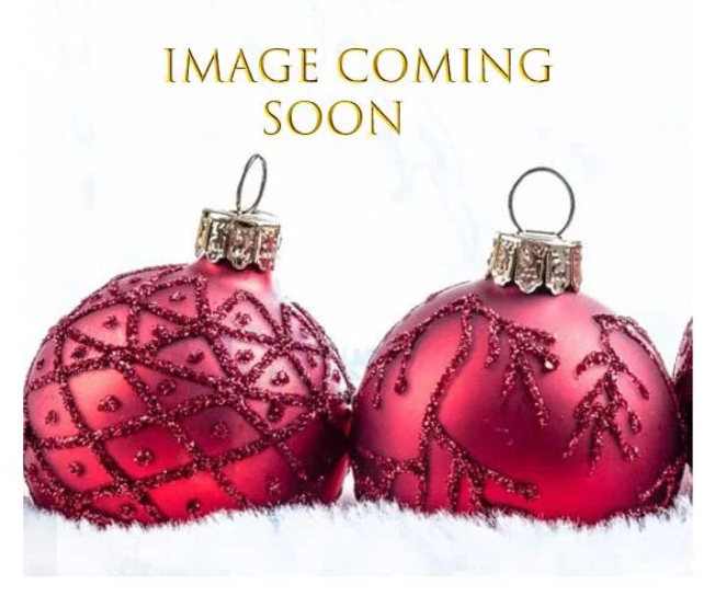 Image coming soon
