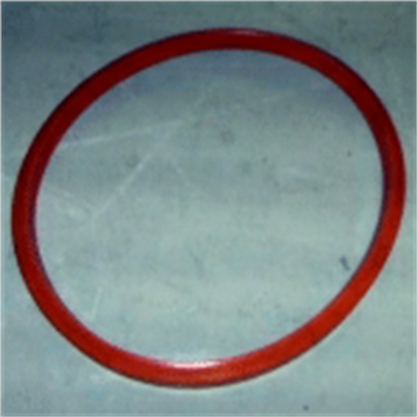 >>  GASKET,DOOR,F135,71.75INCH,VULCANIZED 170166