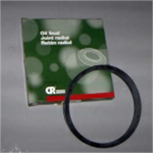 >>  SEAL,V-RING, SI-275 100270