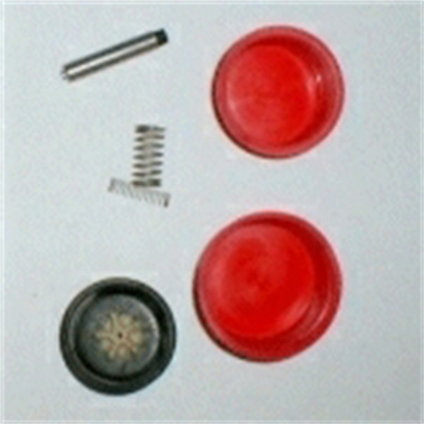 >> Generic VALVE REPAIR KIT, 17MM 24001123