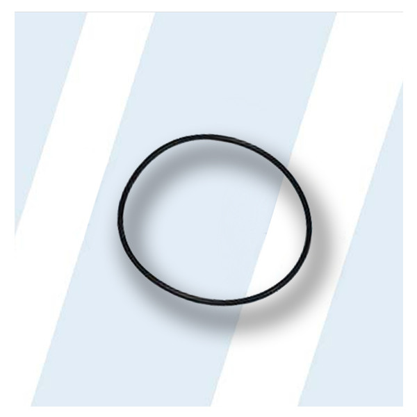Dexter,Dexter Parts,Dexter Replacement,Dexter Replacement Number 9487-271-001,O-Ring,Dexter Replacement Part # 9487-271-001 O-Ring