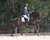 Shanna's horse wearing the Bombers Elliptical Dressage Loose Ring. Photo by Sue Crockett Photography.