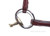 Neue Schule 8023E Tranz Angled Lozenge Eggbutt Snaffle Bit on the bridle