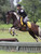 Anne's horse wears the Neue Schule Turtle Top Hunter Dee