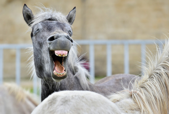 Shut your mouth! How bit thickness impacts performance.