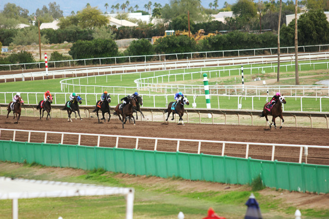 My Top 5 Bits for OTT Thoroughbreds!