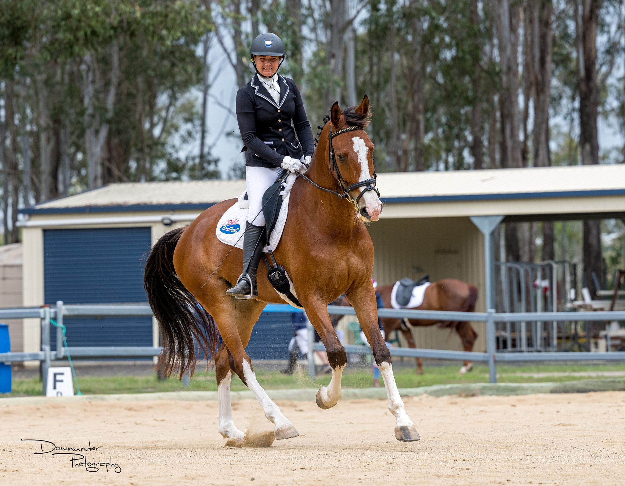 cosmique-cavall-novice-dressage.jpg