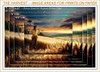 The Harvest • Print Edition Image Sizes