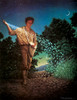 The Sower