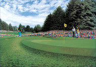 Golf Limited Editions