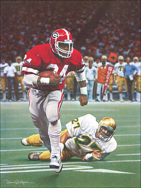 Tribute to the National Champions • Limited Editions Tribute to the National Champions • Limited Editions