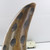 Distressed Cow Horn Paperweight