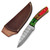 Moluccan Eclectus Damascus Steel Full Tang Hunting Knife | Leather Sheath Included