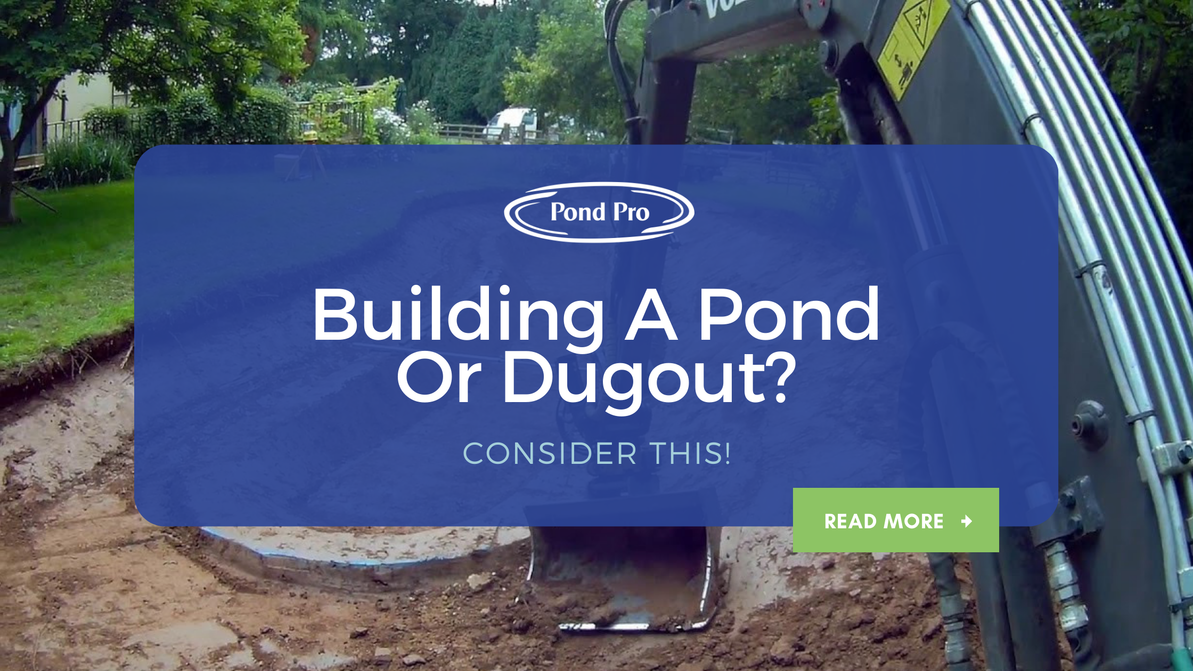 Building a Pond or Dugout? Consider This!