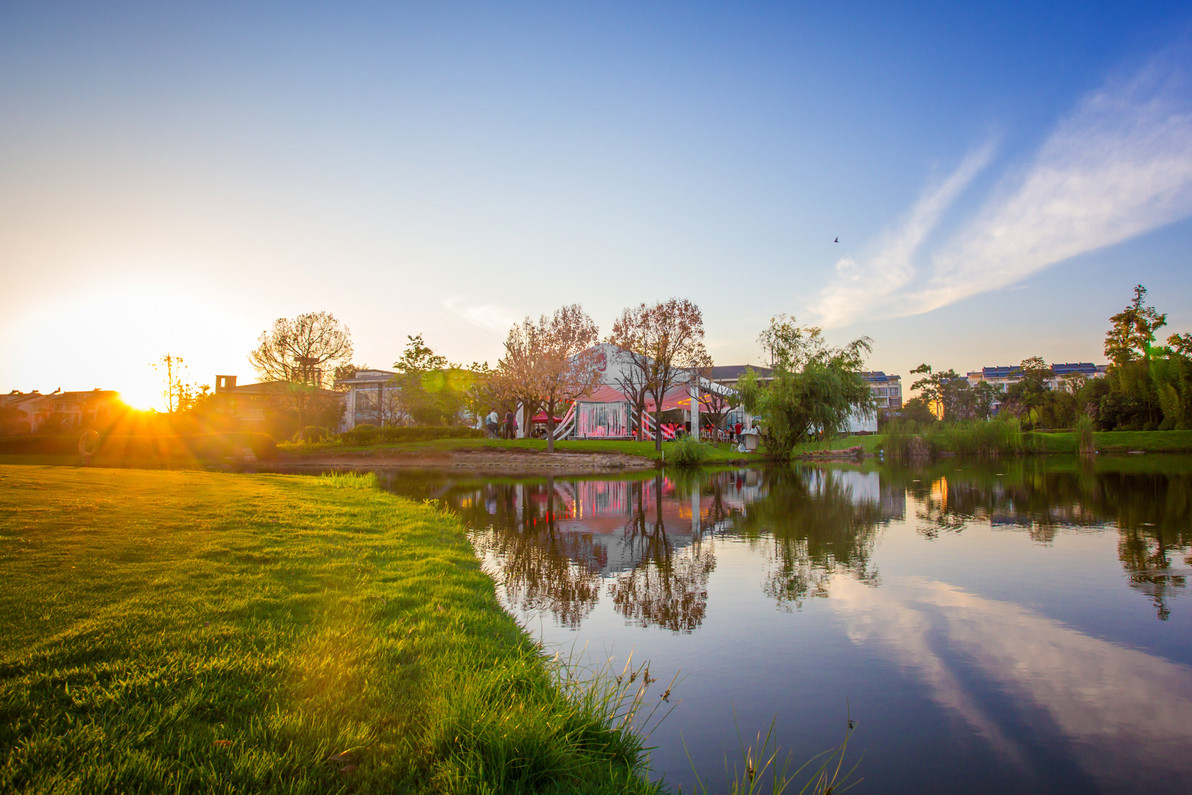 The Effects of Hot Weather on your Pond