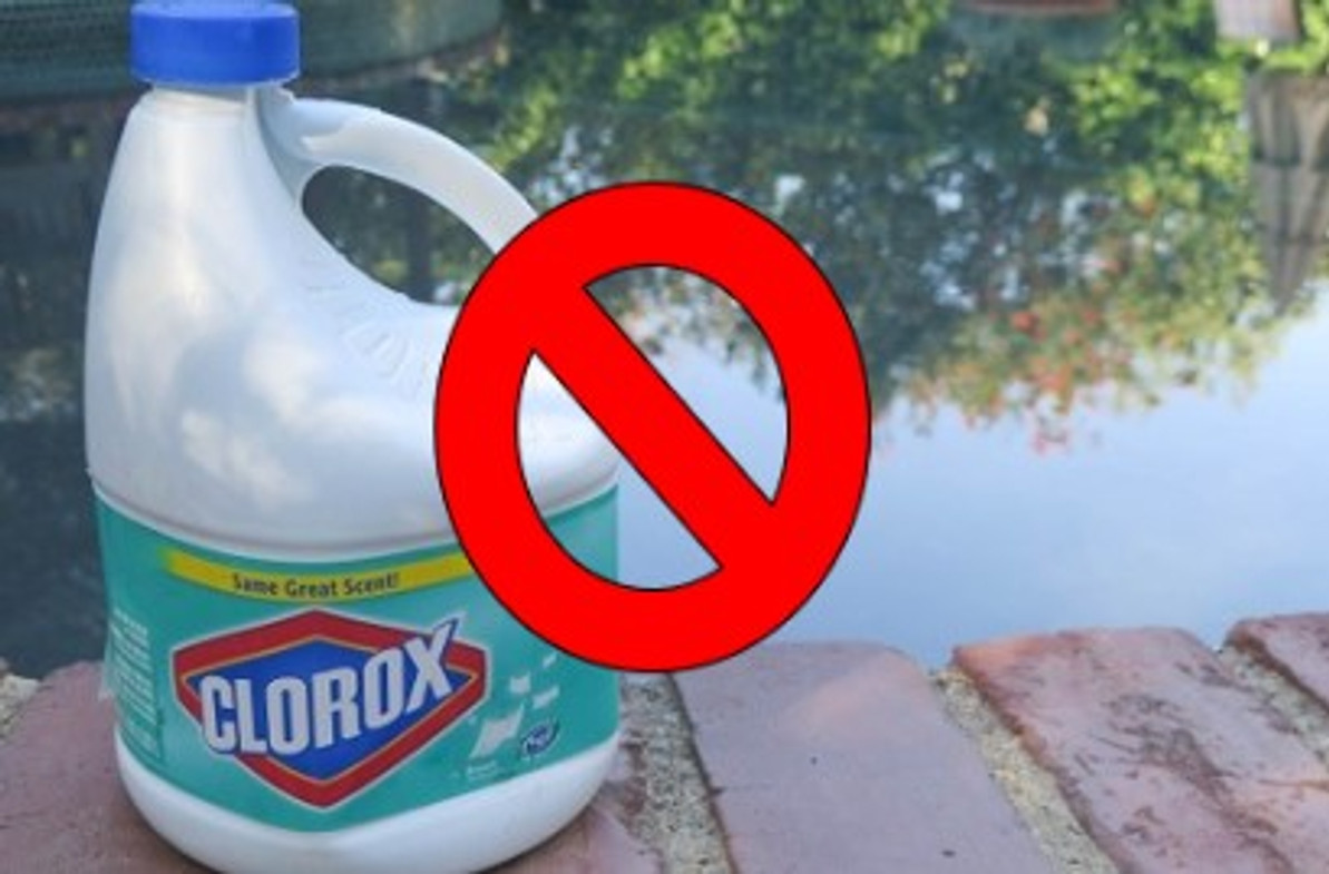  Can I Bleach my Pond? 