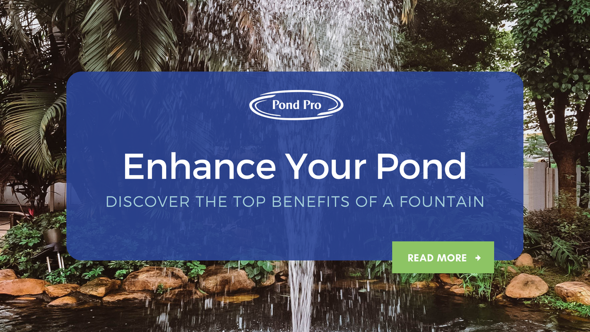 Enhance Your Pond: Discover the Top Benefits of Installing a Fountain