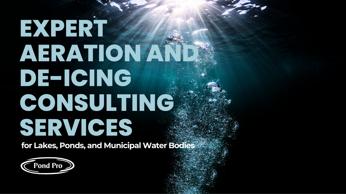 Expert Aeration and De-Icing Consulting Services for Lakes, Ponds, and Municipal Water Bodies