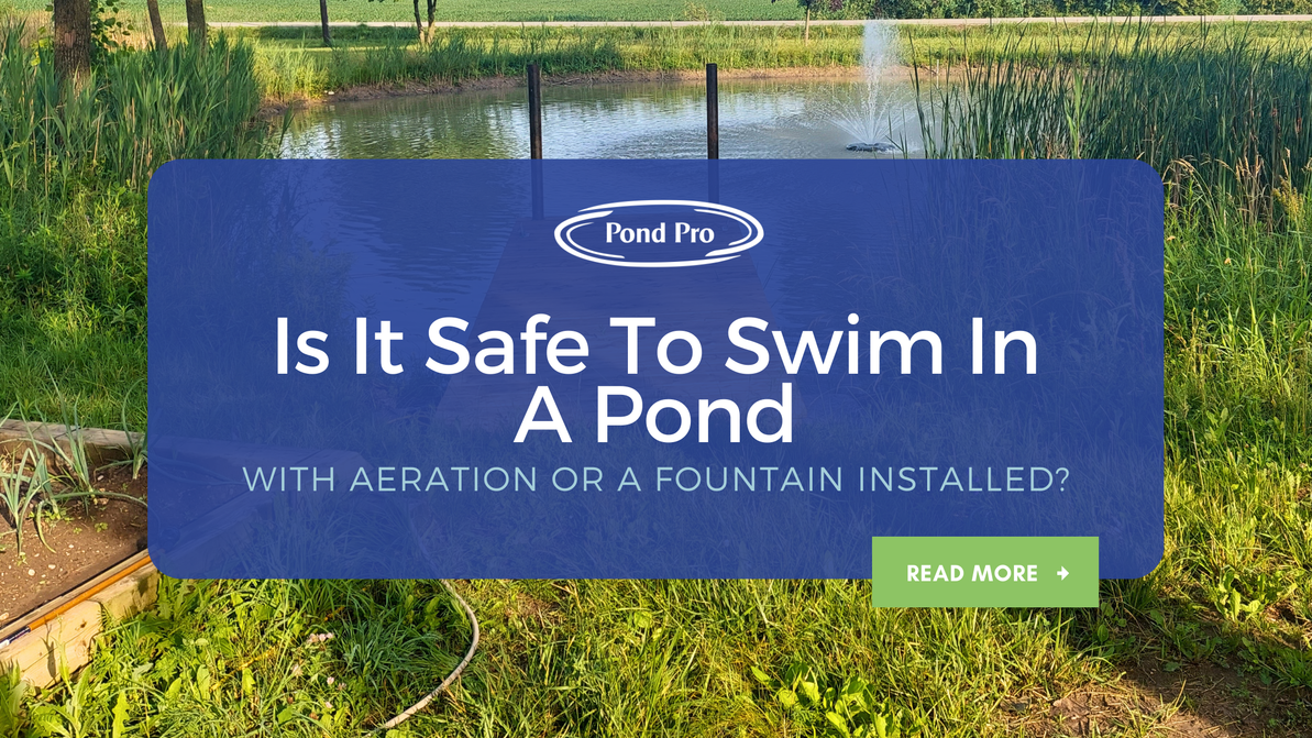 Is it safe to swim in a pond with aeration or a fountain installed?