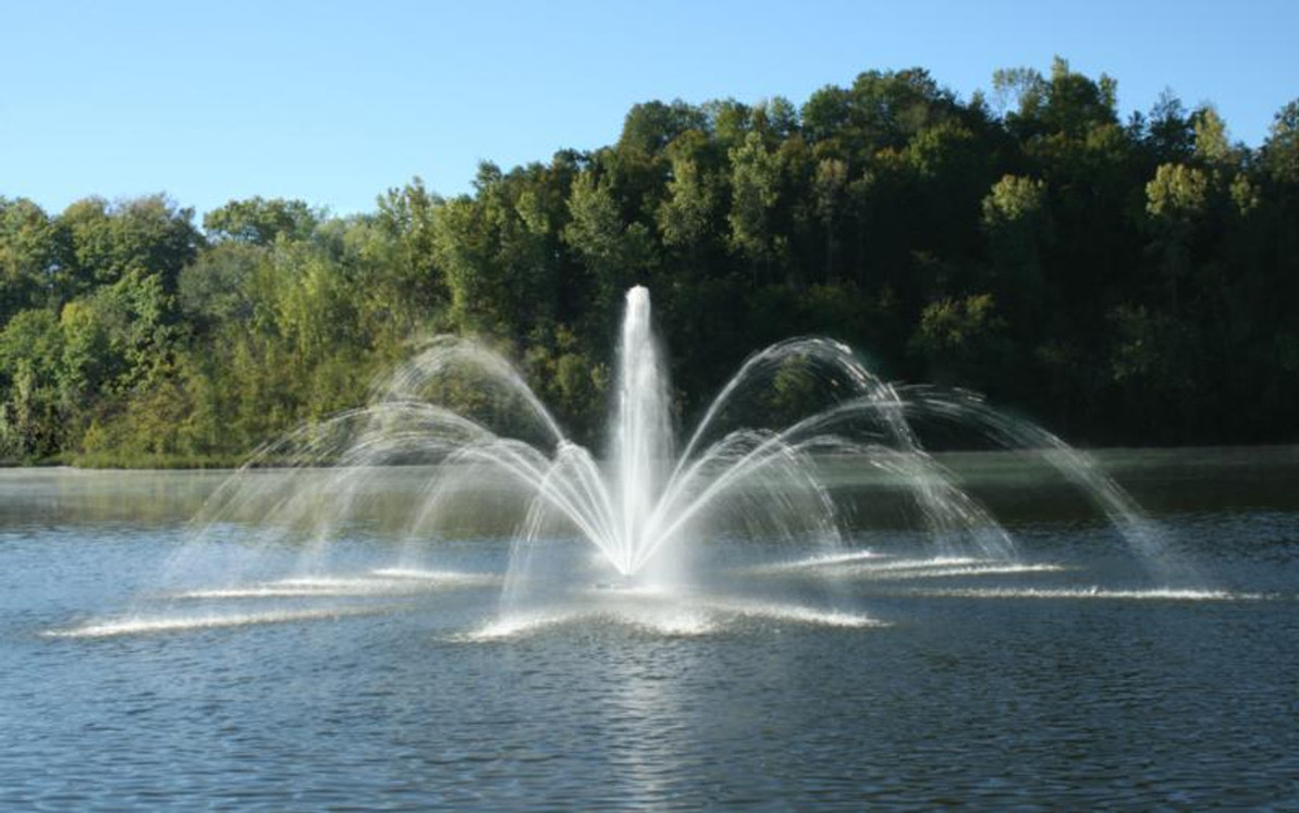 Can I Leave My Fountain in the Pond? 