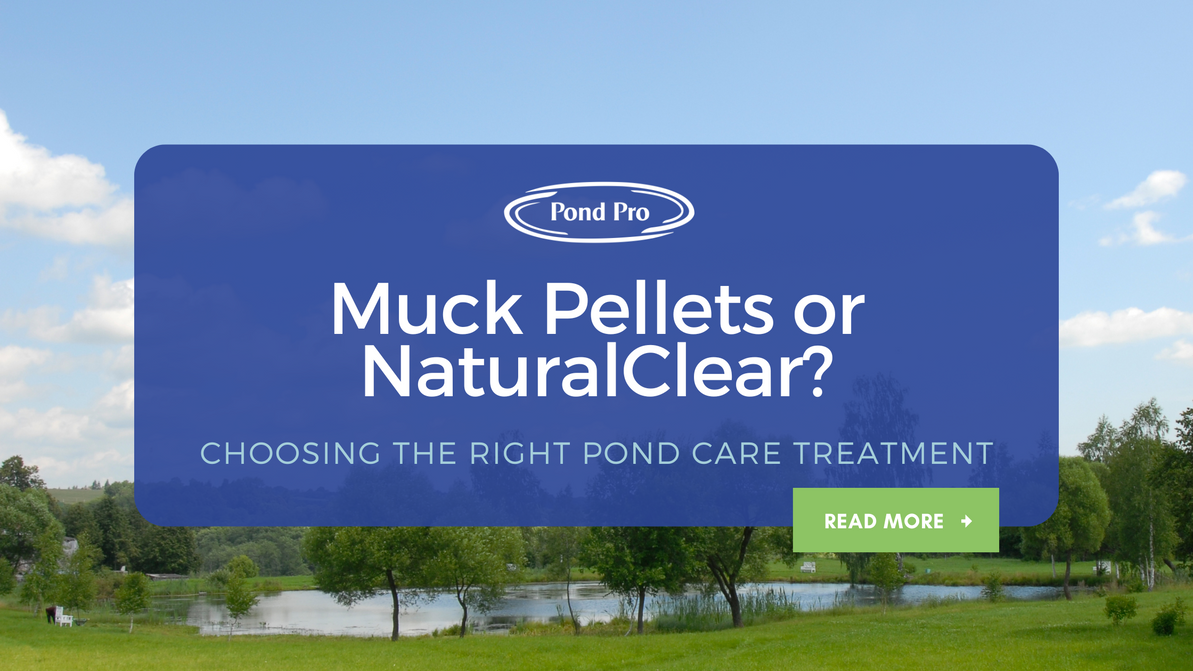 Muck Pellets or NaturalClear? Choosing the Right Pond Care Treatment