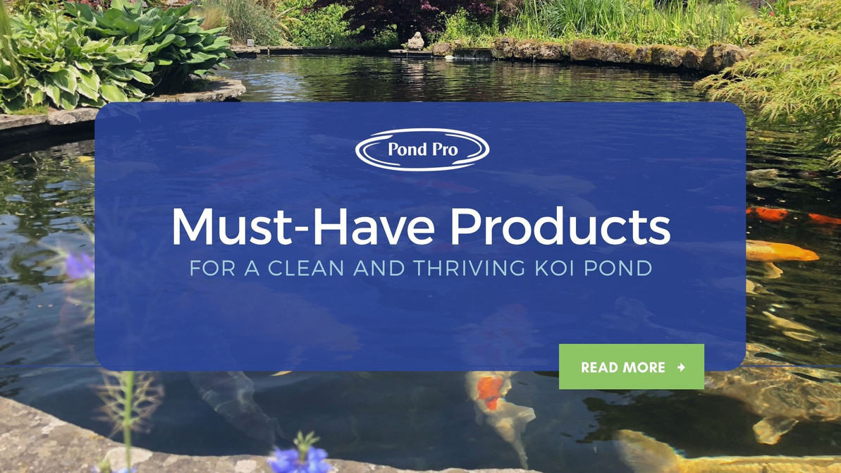 Must-Have Products for a Clean and Thriving Koi Pond