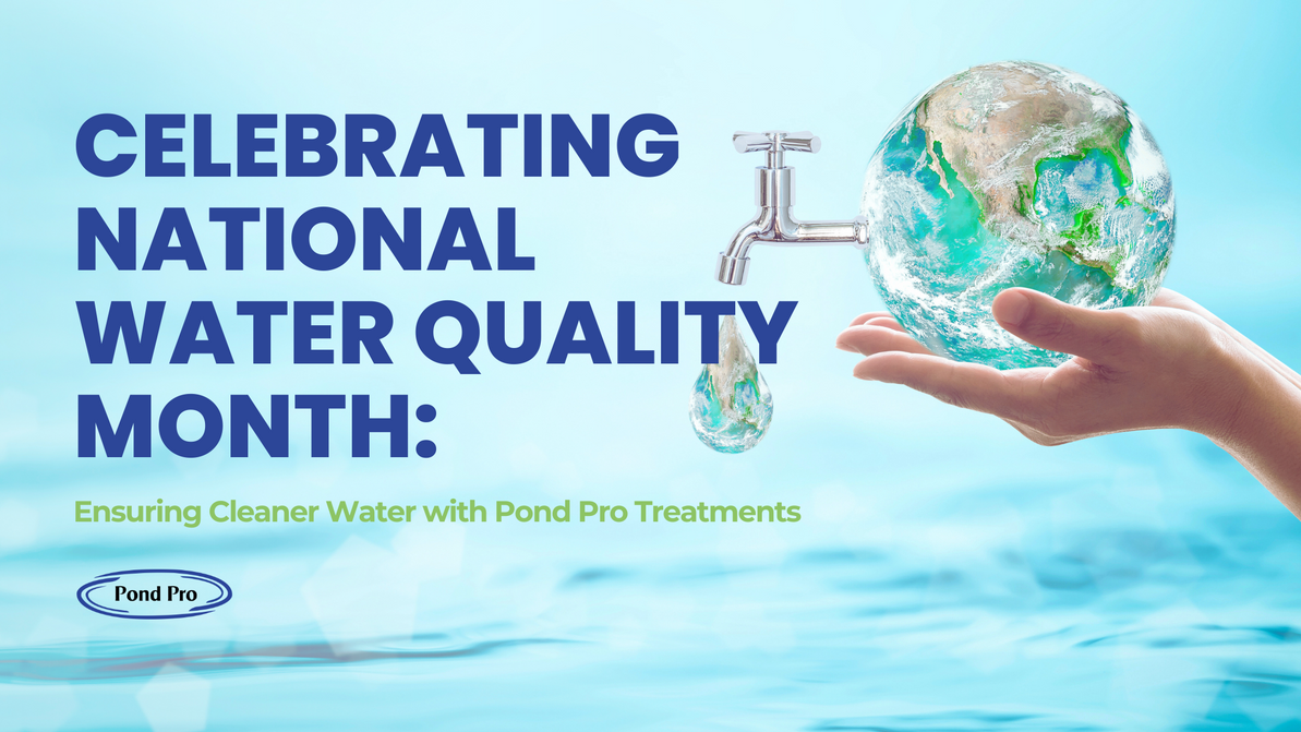 Celebrating National Water Quality Month: Ensuring Cleaner Water with Pond Pro Treatments