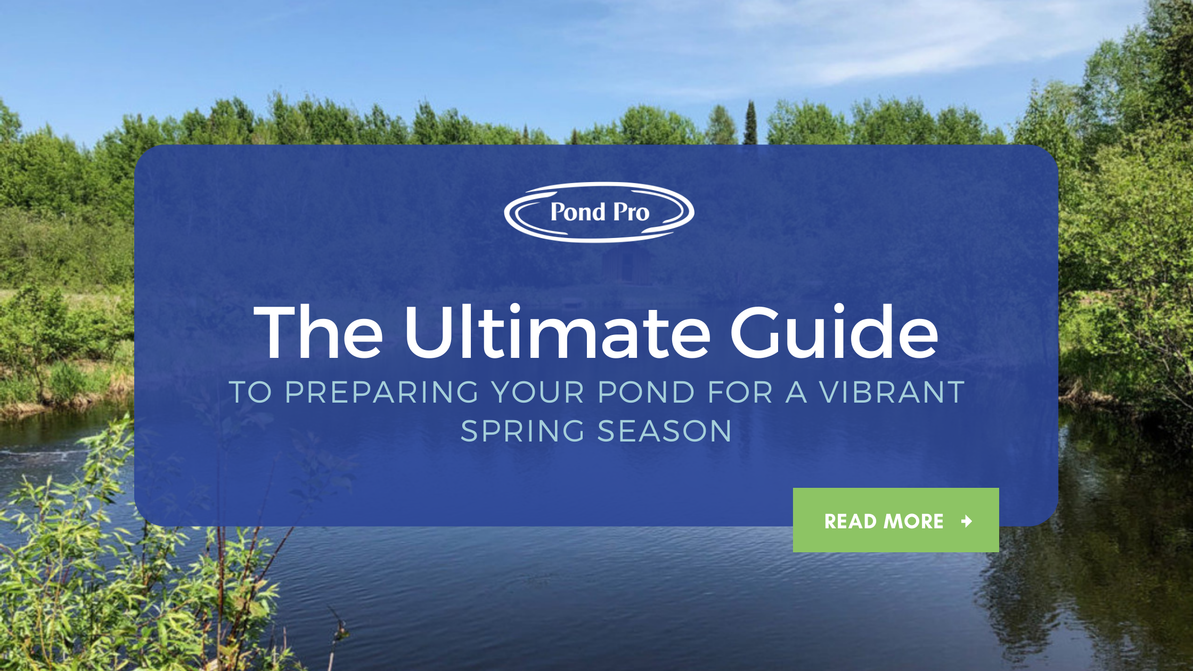 Ultimate Guide to Preparing Your Pond for a Vibrant Spring Season
