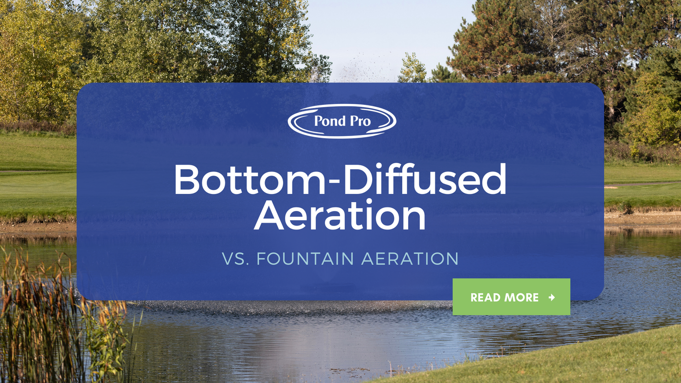 Bottom Diffused Aeration vs Fountain Aeration