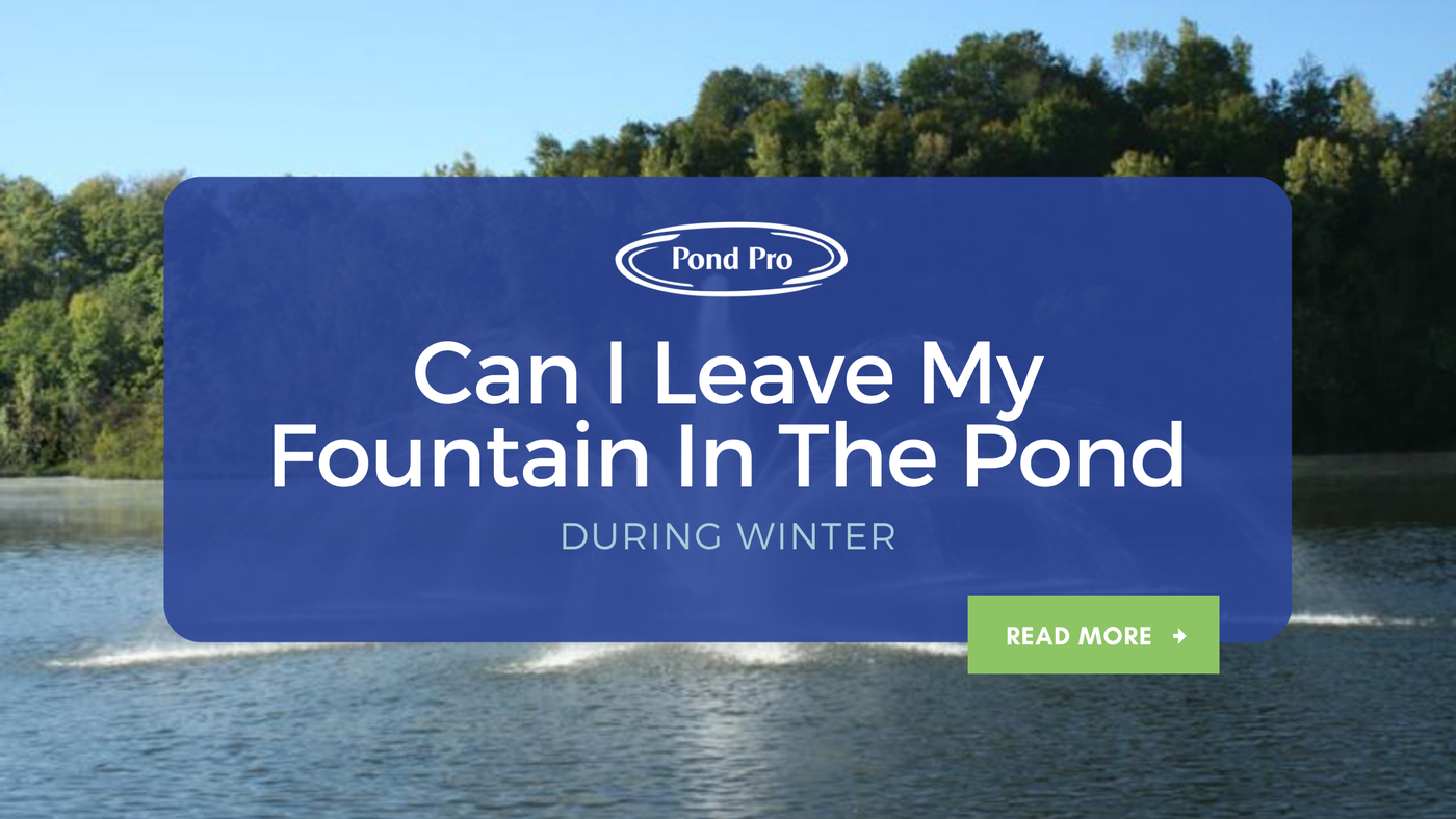 Can I Leave My Fountain in my Pond during winter? 