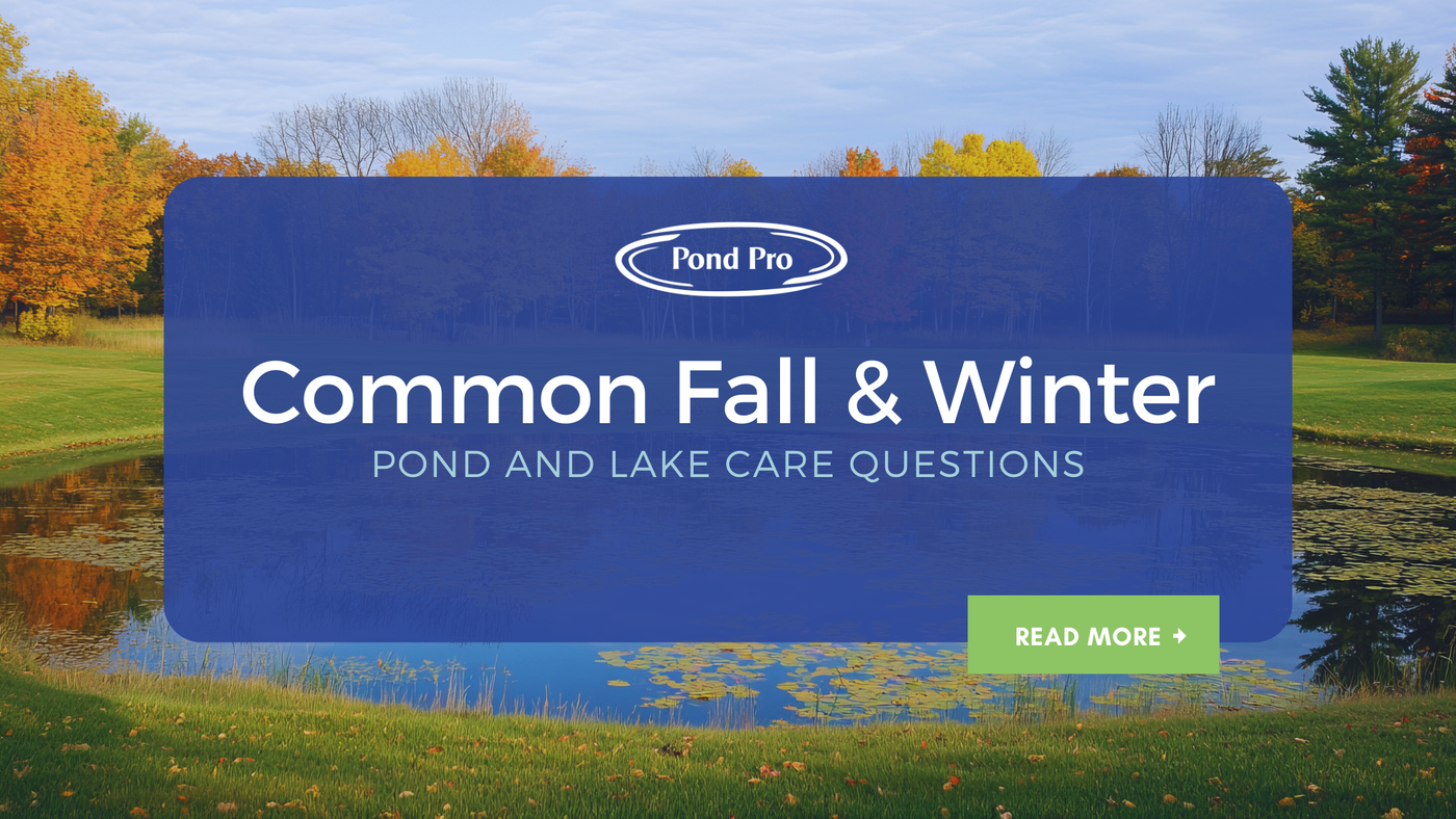 Common Fall and Winter Pond and Lake Care Questions