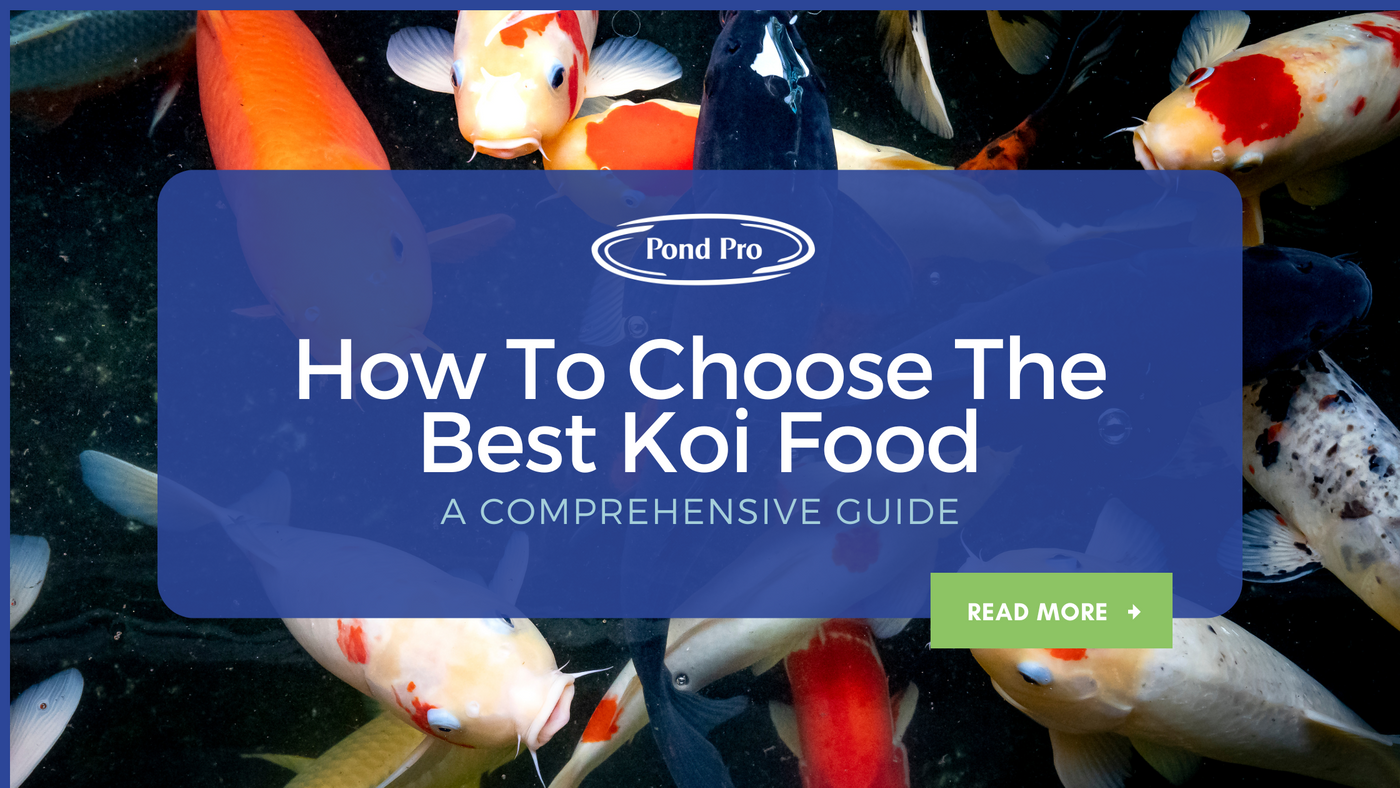 How to Choose the Best Koi Food: A Comprehensive Guide