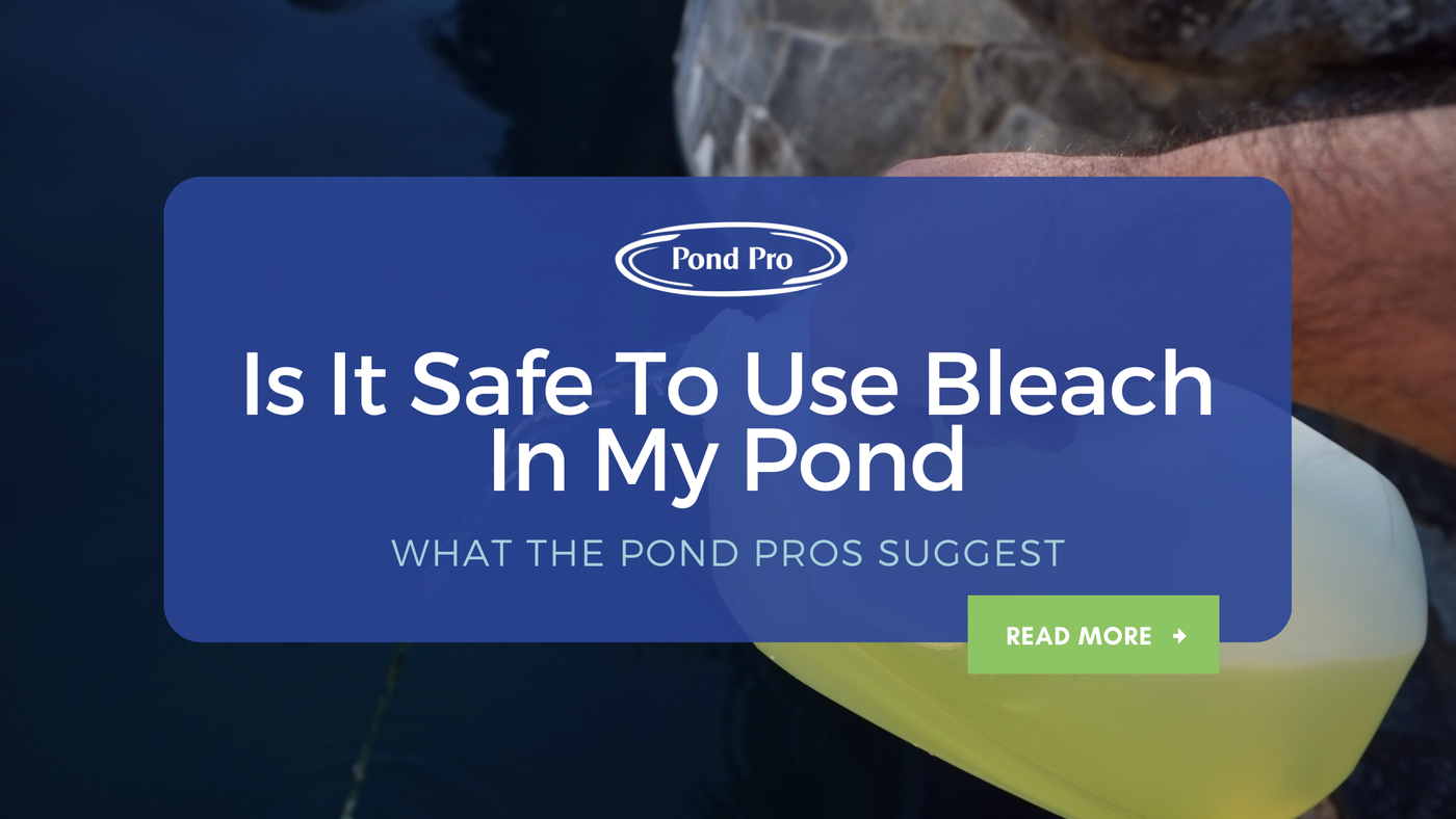 Is It Safe to Use Bleach in My Pond?