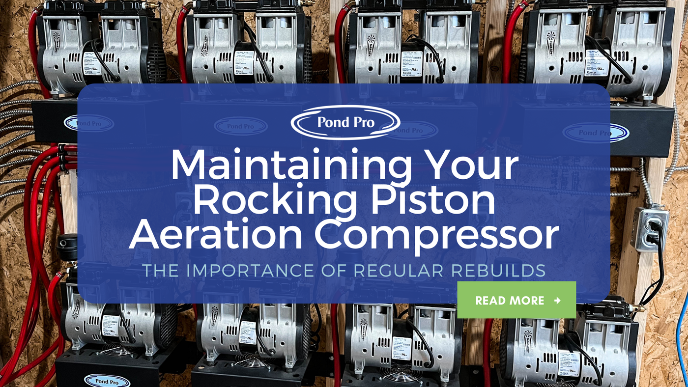 Maintaining Your Rocking Piston Aeration Compressor: The Importance of Regular Rebuilds