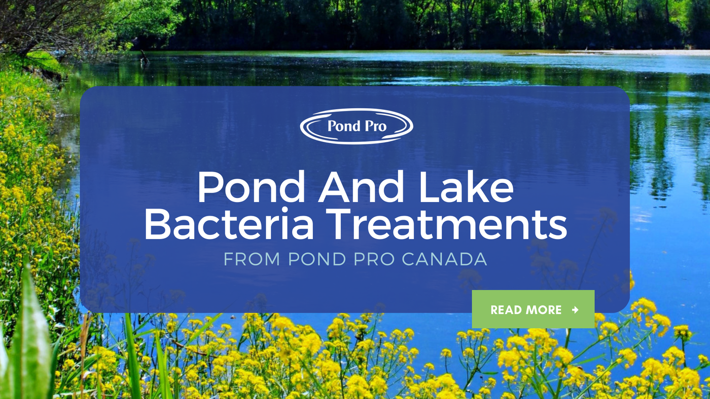 Pond Pro Canada Pond And Lake Bacteria Treatments