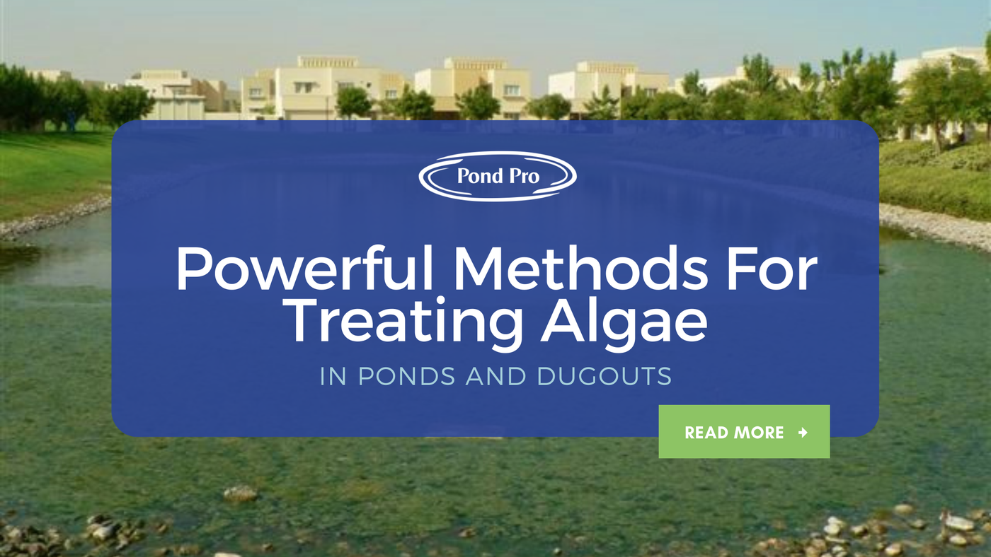 Powerful Methods for Treating Algae in Ponds and Dugouts