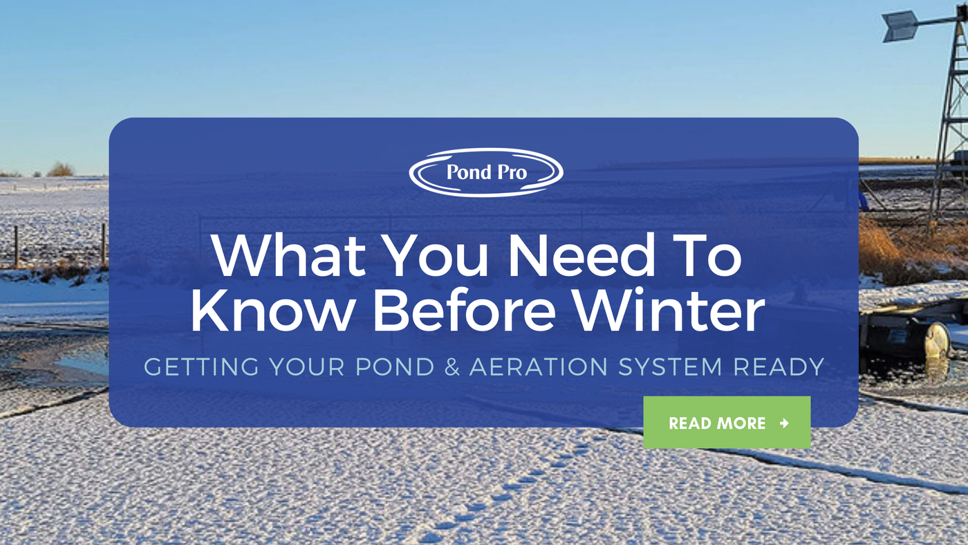 What You Need to Know Before Winter: Getting your Pond & Aeration System Ready