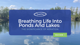 Breathing Life into Ponds and Lakes: The Significance of Aeration