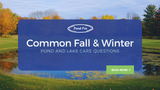 Common Fall and Winter Pond and Lake Care Questions