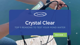 Crystal Clear: Top 5 Reason to Test your Pond Water