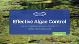 Effective Algae Control: Your Comprehensive Guide to Pond Maintenance
