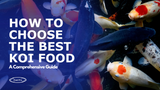How to Choose the Best Koi Food: A Comprehensive Guide