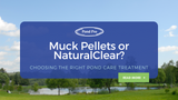 Muck Pellets or NaturalClear? Choosing the Right Pond Care Treatment