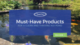 Must-Have Products for a Clean and Thriving Koi Pond