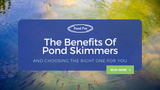 The Benefits of Pond Skimmers and Choosing the Right One for You